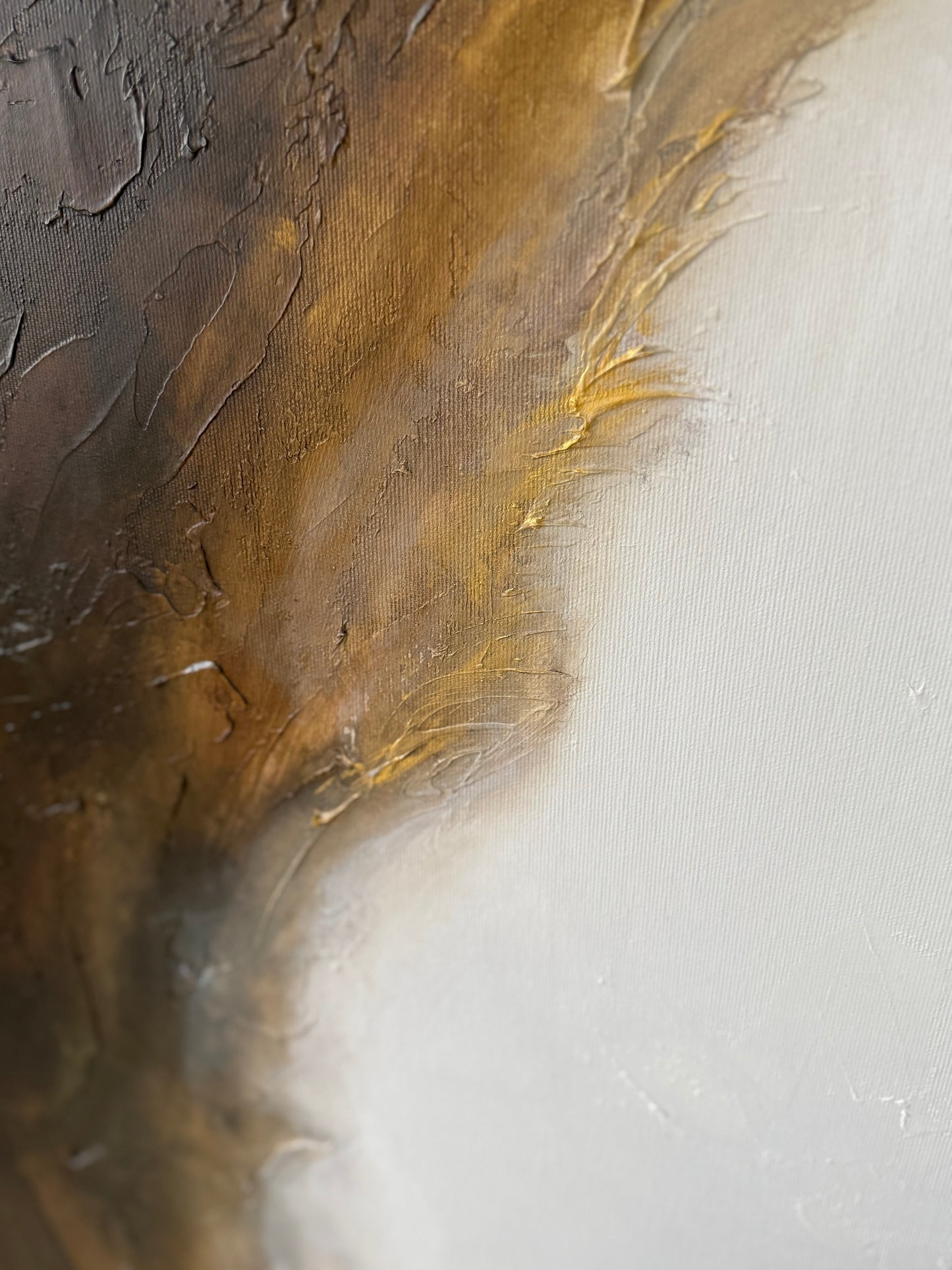 Traces